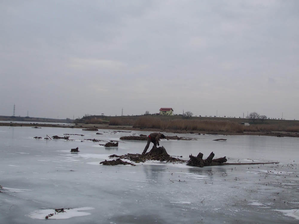 TANCABESTI SECAT - DSCF3438.jpg